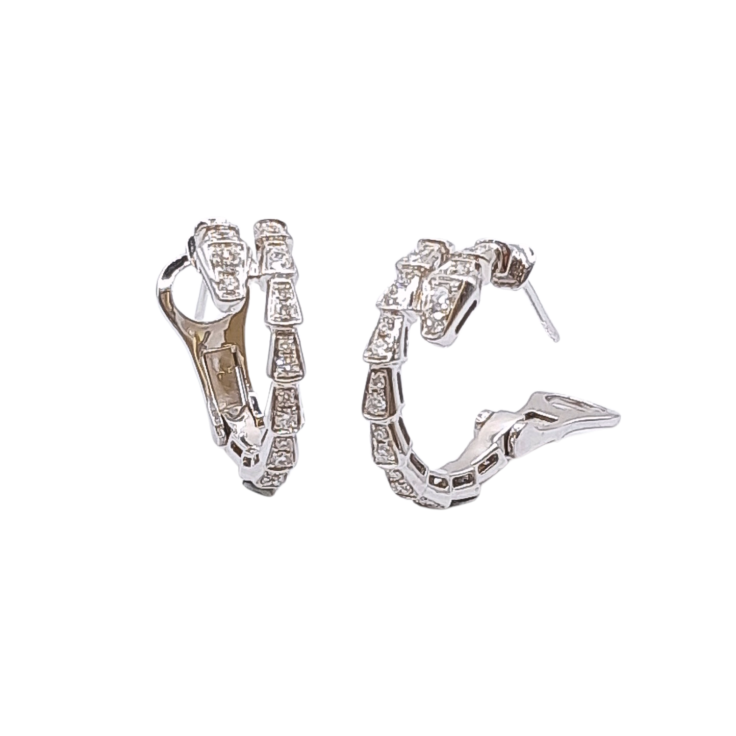 Serpentine Hoop Earring