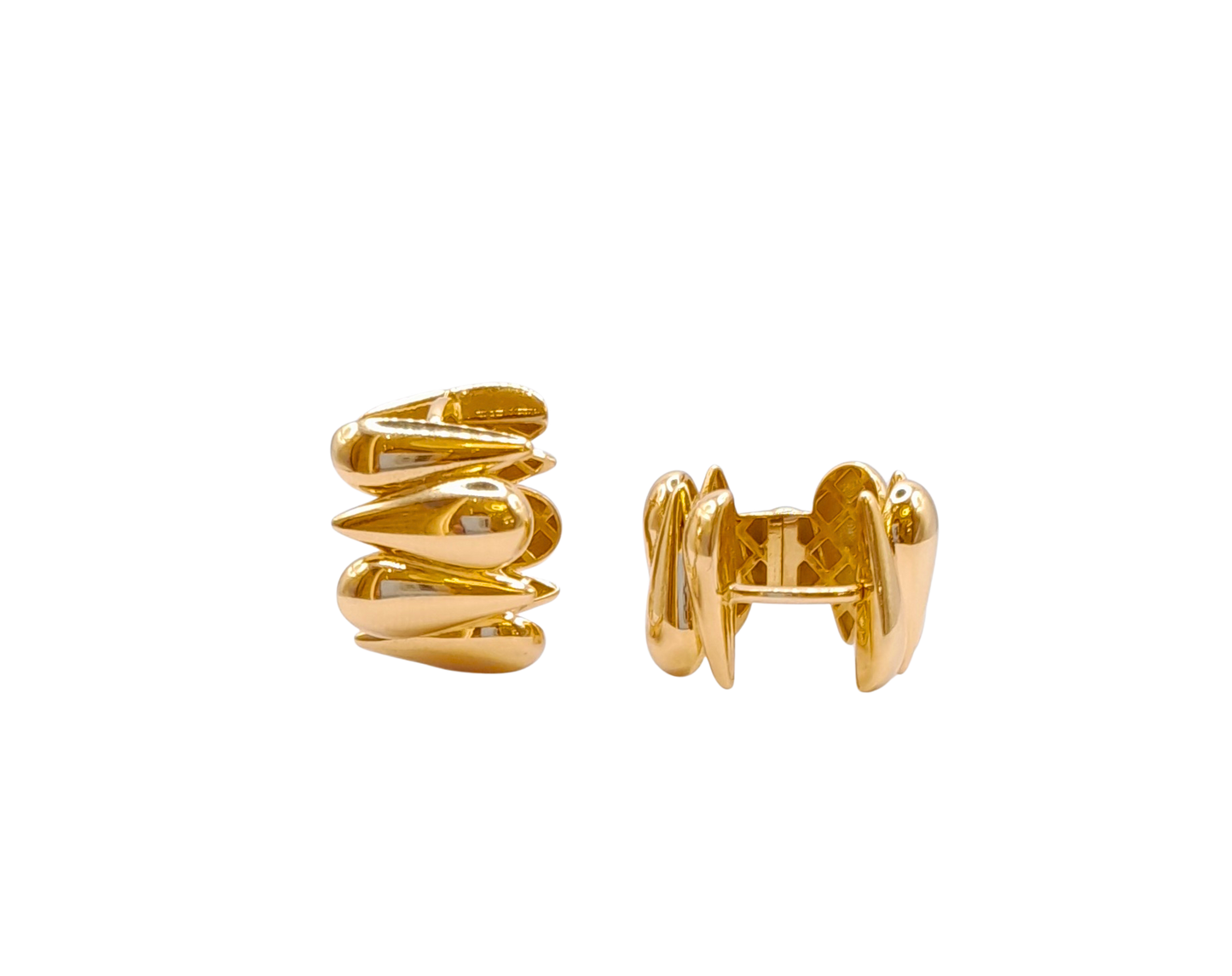 Bottega Loop Earrings